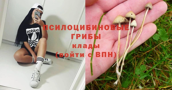 соль курить ск Алексеевка