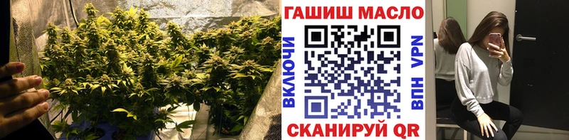 купить закладку  Усолье-Сибирское  ТГК концентрат 