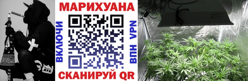 Конопля семена  Усолье-Сибирское 